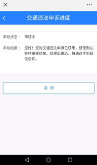 便民服務(wù)橋功能再升級 免費拍照辦駕照，大數(shù)據(jù)助您輕松選駕校